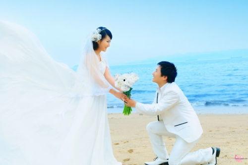 求爱照片,求爱照片背后的浪漫故事