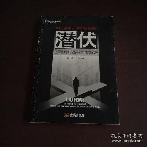 高手解密资料,深度解析神秘资料背后的智慧与策略